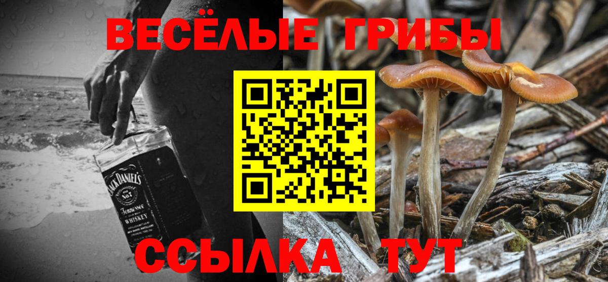 Шахты  купить  цена  Вход с VPN  Псилоцибиновые грибы ЛСД 