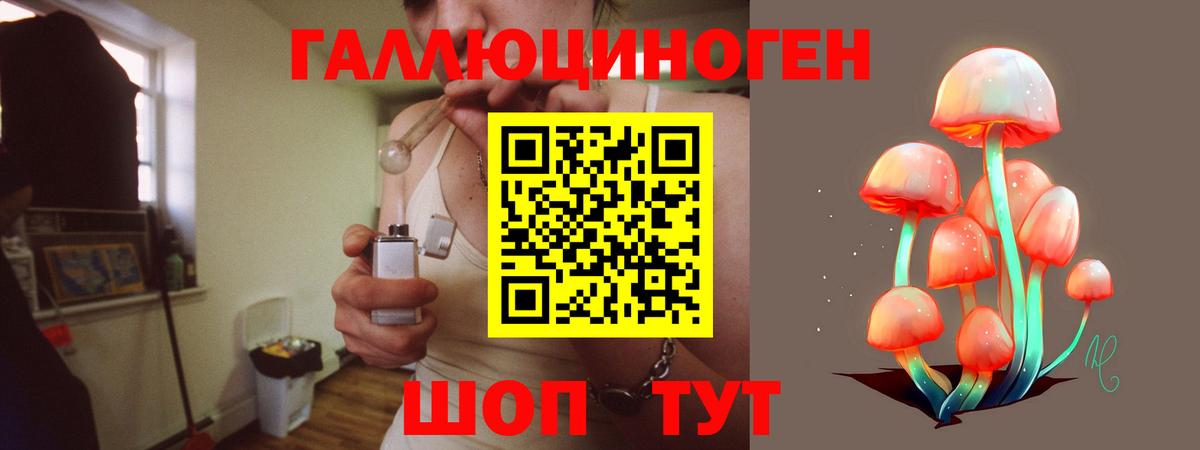Псилоцибиновые грибы Psilocybine cubensis Шахты